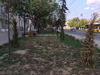 Прикрепленное изображение: IMG_1201.JPG